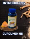 Curcumin 95_1